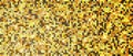 Gold Disco Color Halftone Dotted Backdrop. Abstract Circular Retro Pattern. Pop Art Style Background. Chocolate Shades. Digitally