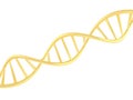 Gold DNA symbol on white background. Royalty Free Stock Photo