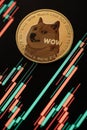 Gold Dogecoin with candle stick graph chart and digital background