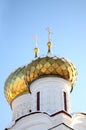 Gold domes Royalty Free Stock Photo