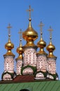 Gold domes of the Ryazan Kremlin