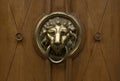 Gold door handle in a shape of lion with ring in mouth Royalty Free Stock Photo