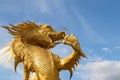 Gold dragon statue beautiful forced beautiful background sky fly