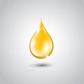 Gold drop of oil essence. Royalty Free Stock Photo