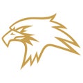 Gold Eagle Golden Falcon Logo Design Vector