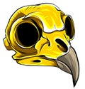 Gold eagle skull on white background. vector illustration