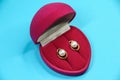 Gold earrings with pearls in red velvet box in the form of a heart on a blue background Royalty Free Stock Photo