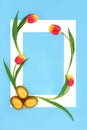 Gold Easter Eggs and Tulip Flower Background Border Frame