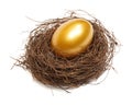 Gold egg Royalty Free Stock Photo