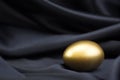 Gold egg on black satin background reflects smart success