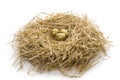 Gold egg in clutch Royalty Free Stock Photo