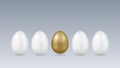 Gold egg leader Royalty Free Stock Photo