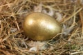 Gold egg in a nest Royalty Free Stock Photo