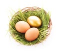 Gold egg in nest isolated Royalty Free Stock Photo