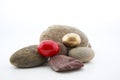 Gold egg and red egg placed on rocks with copy space