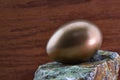 Gold egg on rock on wood background