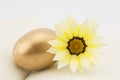 Gold egg and yellow blossom on journal reflect hopeful goals