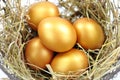 Gold eggs Royalty Free Stock Photo