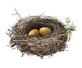 Gold Eggs in Bird`s Nest.