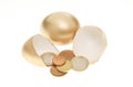 Gold eggs and Euro coins Royalty Free Stock Photo