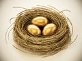 Gold eggs inside bird nest. 3D illustration Royalty Free Stock Photo