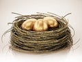 Gold eggs inside bird nest. 3D illustration Royalty Free Stock Photo
