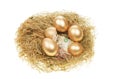 Gold eggs and money