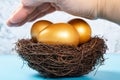 Gold eggs on nest covered by a hand concept of safety investment Royalty Free Stock Photo