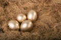 Gold eggs in nest Royalty Free Stock Photo