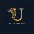 Gold Elegant letter U. Graceful style. Calligraphic beautiful logo. Vintage drawn emblem for book design, brand name, business car