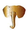 Gold elephant head vector illustration isolated on white background. Royalty Free Stock Photo
