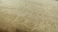 Gold embossed curtain fabric texture