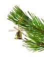 Gold(en) campanula,Christmas tree ornaments Royalty Free Stock Photo