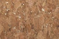 Gold enriched corkboard. Seamless cork texture as background Royalty Free Stock Photo