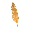 Gold feather of bird with decorative ornament on smooth golden gradient surface