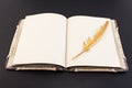 Gold feather and book on a black background