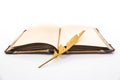 Gold feather and book isolated on white Royalty Free Stock Photo