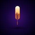 Gold Feather pen icon isolated on black background. Vector Illustration Royalty Free Stock Photo