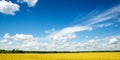 Gold fields Wheat panorama with blue sky and clouds, rural countryside Royalty Free Stock Photo