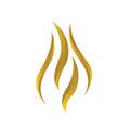 gold fire flames logo vector design icons elements Royalty Free Stock Photo