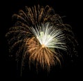 Gold firework with a white feather coming from center