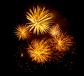 Gold fireworks isolated on a black background Royalty Free Stock Photo