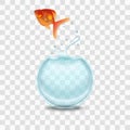 Gold Fish and Aquarium on a Transparent Background. Vector Royalty Free Stock Photo