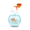 Gold Fish and Aquarium on a White Background. Vector Royalty Free Stock Photo