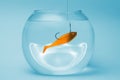 Gold fish bait in a bowl Royalty Free Stock Photo