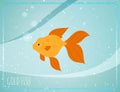 Gold fish with bubbles in sea water blurred background cartoon vector illustration. Royalty Free Stock Photo