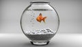 Gold fish in a fishbowl - bubbles Royalty Free Stock Photo