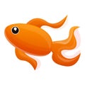 Gold fish icon, cartoon style Royalty Free Stock Photo