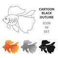 Gold fish icon cartoon. Singe aquarium fish icon from the sea,ocean life cartoon.