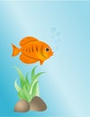 Gold fish - illustration Royalty Free Stock Photo